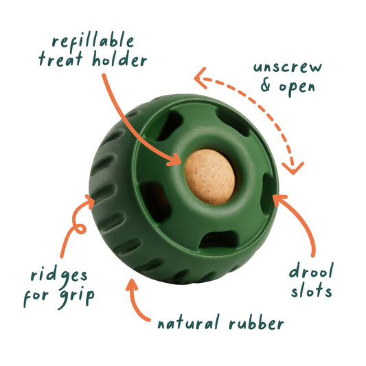 Woof - Pupsicle - Green - XL