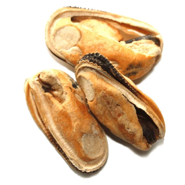 NZ Natural Woof Green Lipped Mussel Freeze-Dried Dog Treat 50-g