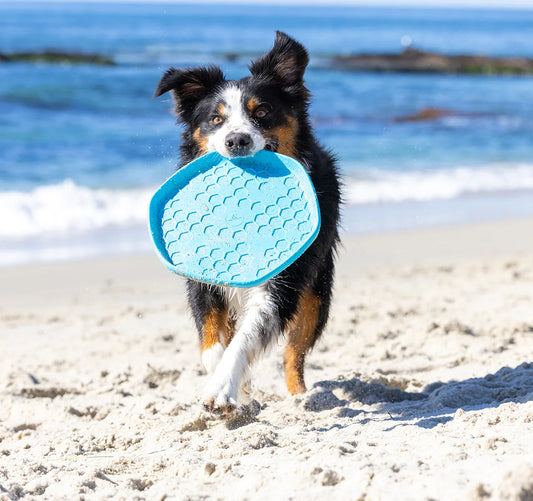 Project Hive™- Hive Disc Dog Toy - Soothing Vanilla Scent