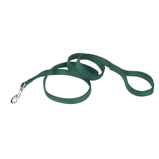 Coastal Double-Ply Dog Leash, Hunter, 1-in x 6-ft (Size: 1-in x 6-ft)