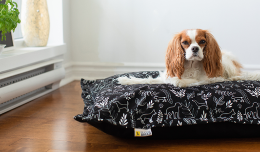 BeOneBreed Cloud Pillow for Dogs, Botanical, Medium (Size: Medium)