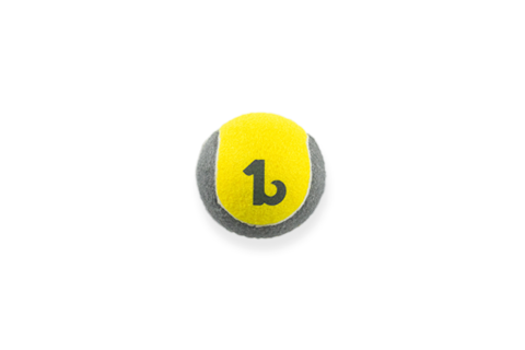 BeOneBreed Sturdy Breed Ball Dog Toy, 2.5-in (Size: 2.5-in)