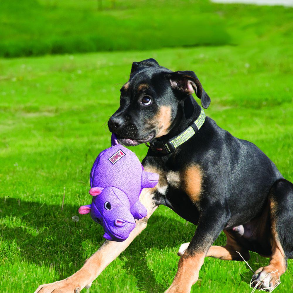 KONG Phatz Hippo Dog Toy, Medium (Size: Medium)