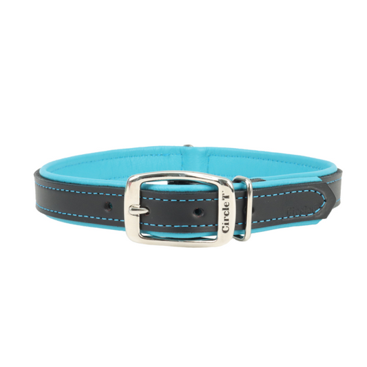 Circle T Double-Ply Fashion Leather Dog Collar, Black & Teal, 1-in x 24-in (Size: 1-in x 24-in)