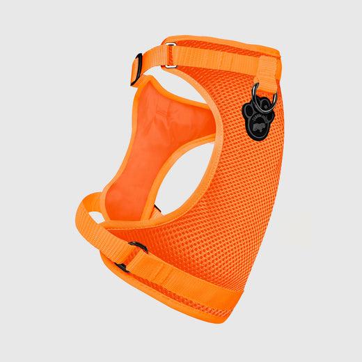 Canada Pooch The Everything Mesh Dog Harness, Orange, Medium (Size: Medium)