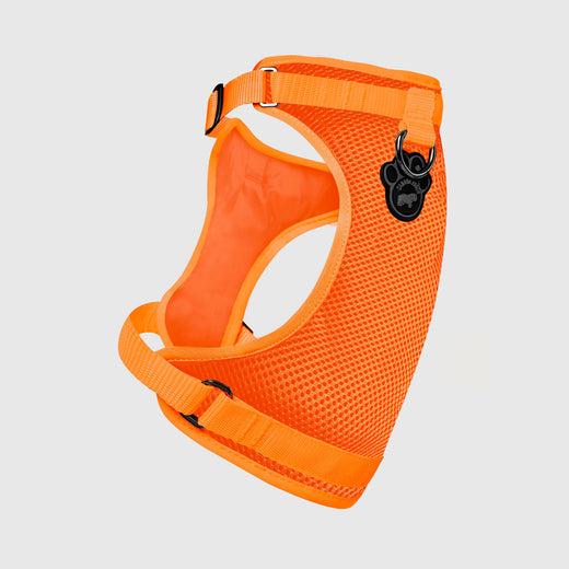 Canada Pooch The Everything Mesh Dog Harness, Orange, Large