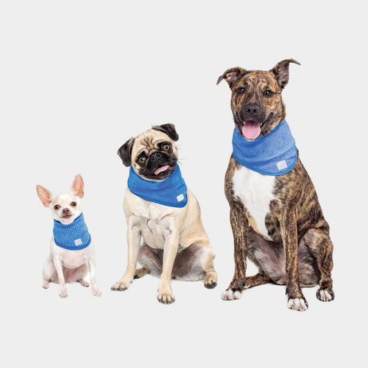 GF Pet Ice Band Dog Cooling Bandana, X-Small