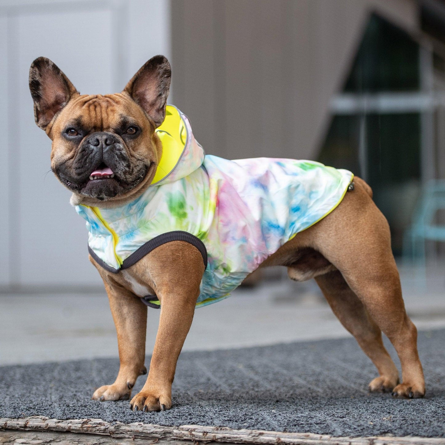 GF Pet Reversible Dog Raincoat, Neon Yellow/Tie-Dye, Small (Size: Small)