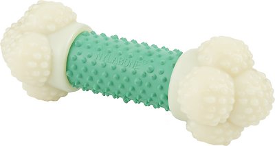 Nylabone DuraChew Double Action Chew Bacon Flavor Dog Toy, Wolf (Size: Wolf)