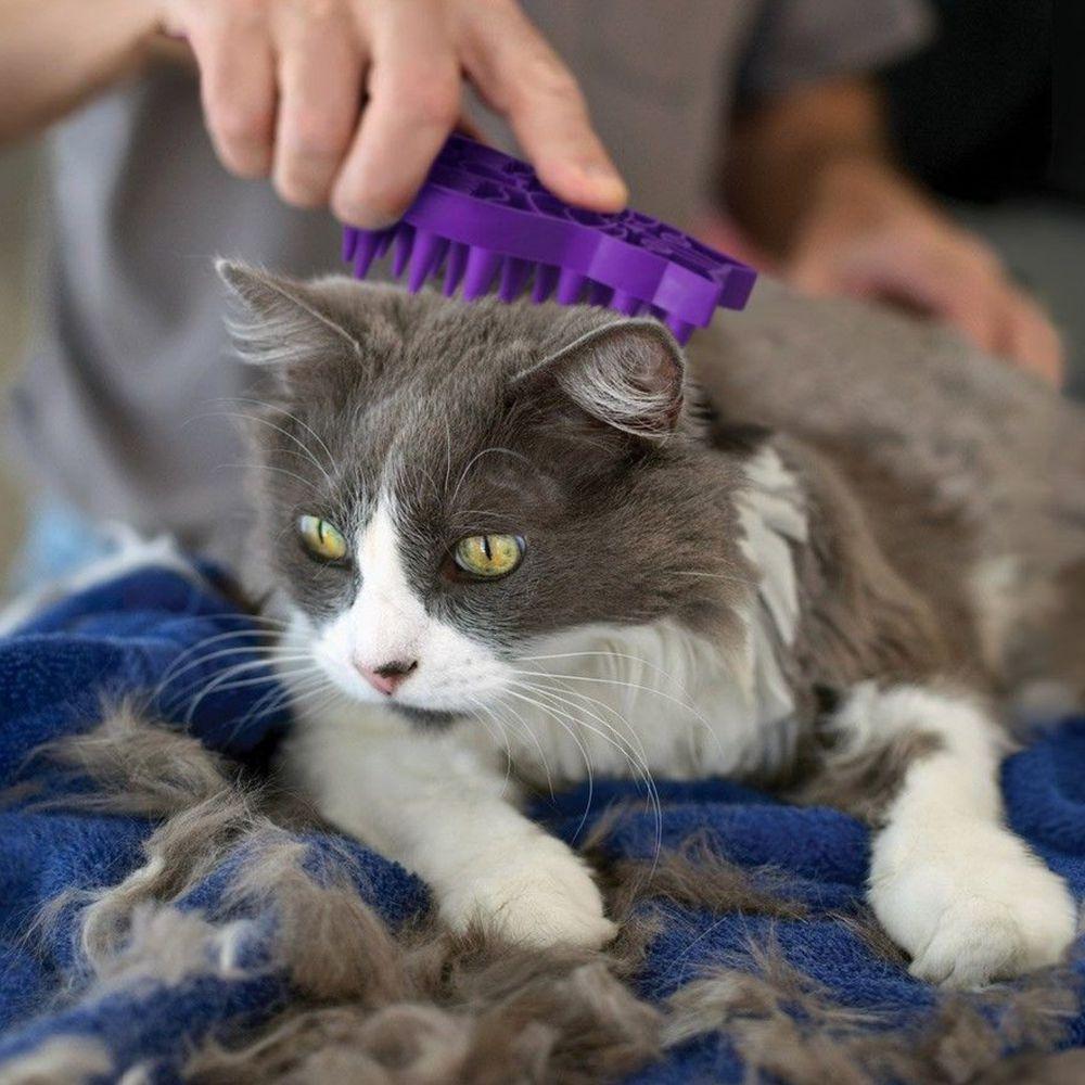 KONG ZoomGroom Multi-Use Cat Brush