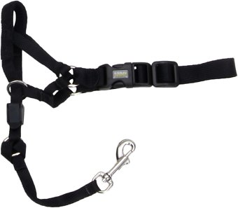 Walk 'n Train Dog Head Halter, Black, XX-Large (Size: XX-Large)