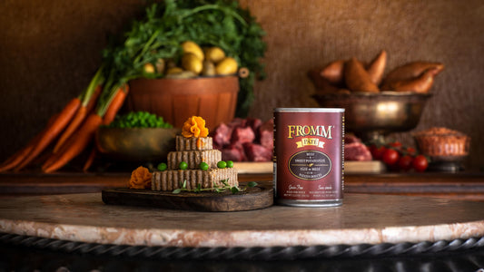 Fromm Beef & Sweet Potato Pate Canned Dog Food, 12.2-oz
