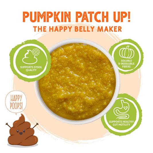 Pumpkin Patch Up Pureed Pumpkin Dog & Cat Supplement, 1.05-oz