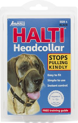 Halti Dog Headcollar, Black, Size 4 (Size: Size 4)