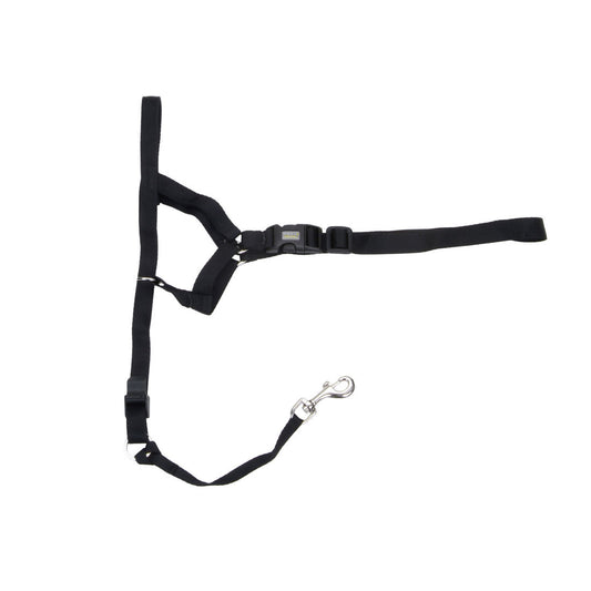 Coastal Walk 'n Train! Dog Head Halter, Size 4 (XL)