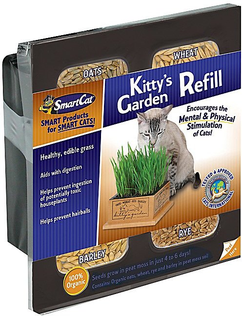 Pioneer Pet SmartCat Kitty's Garden Seed Refill Kit