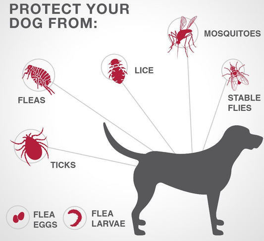 K9 Advantix II Flea+Tick+Mosquito Protection - X-Large Dogs (25kg+) - 4 Pack