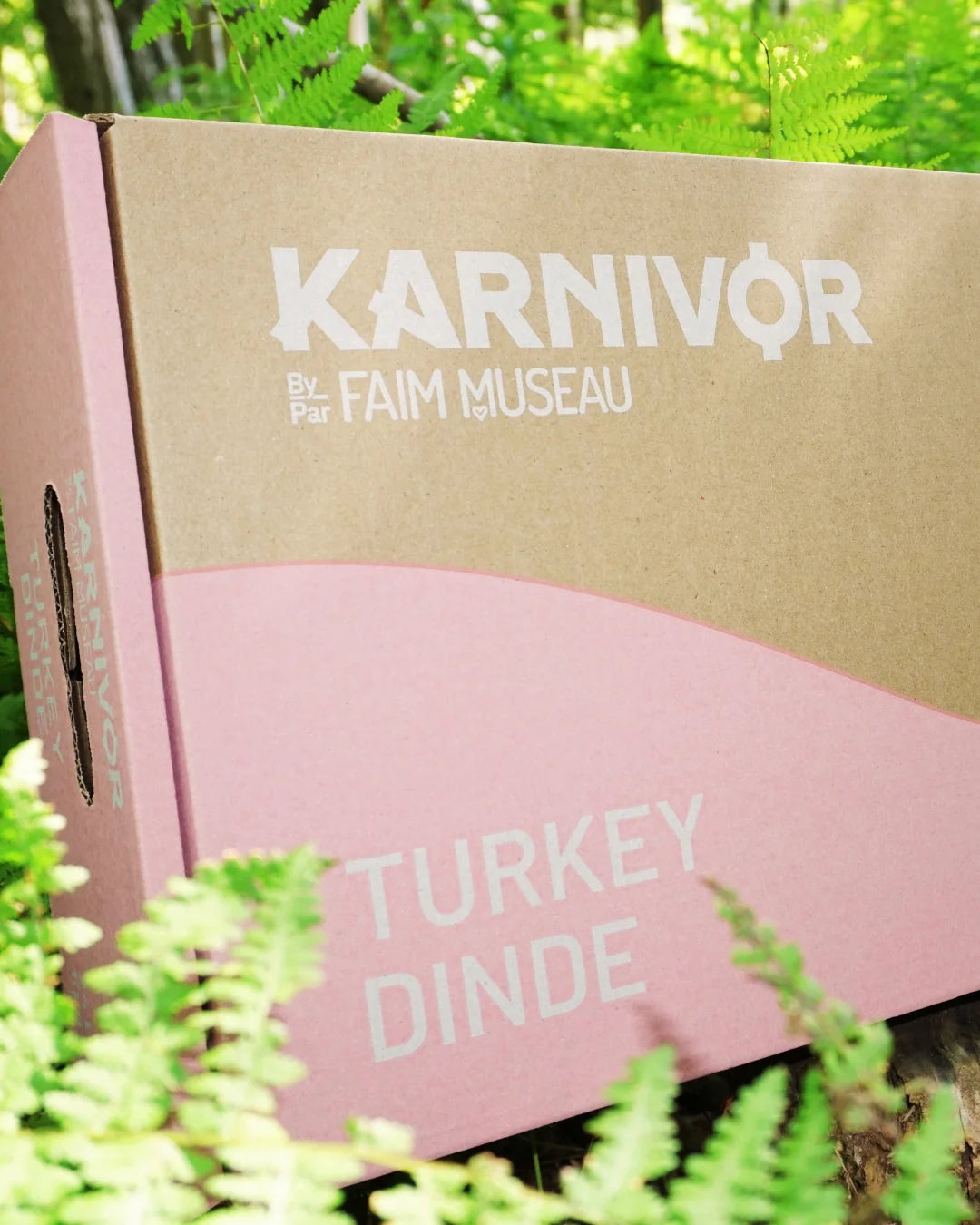 Karnivor by Faim Museau Turkey Frozen Raw Dog Food 24-lb Orono Ontario