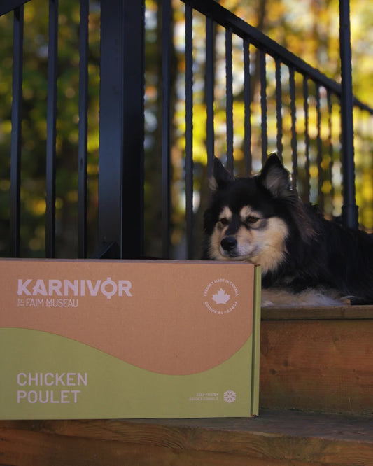 Karnivor by Faim Museau Chicken Frozen Raw Dog Food 24-lb Port Hope Ontario