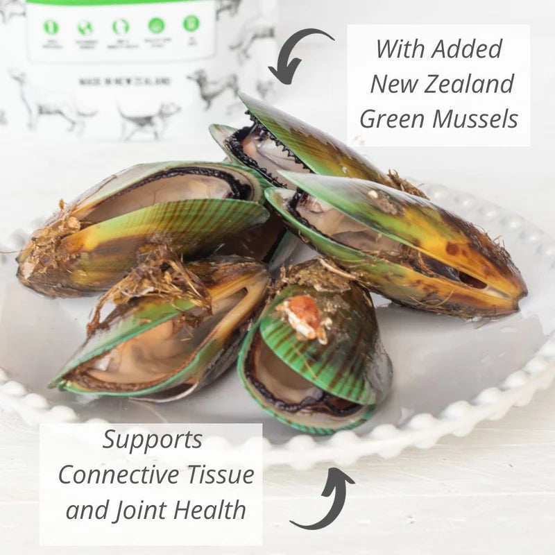 NZ Natural Woof Lamb Green Tripe & Green Lipped Mussel Freeze-Dried Dog Treat 40-g