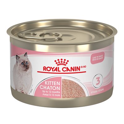 Royal Canin - FHN - Kitten Loaf in Sauce Wet Cat Food Can, 5.1oz