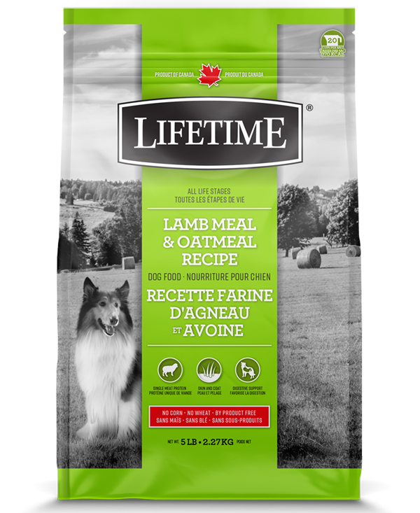 Lifetime Lamb Meal & Oatmeal Recipe Dry Dog Food, 5-lb (Size: 5-lb)