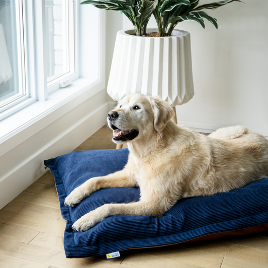 Be One Breed - Cloud Pillow - Navy Corduroy - Large