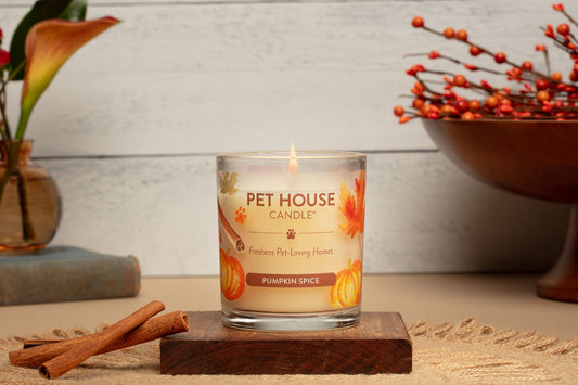 Pet House - Pumpkin Spice Candle, 9oz
