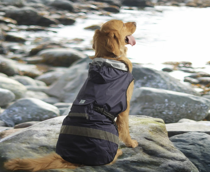 One For Pets Hooded Dog Raincoat, Dark Blue, 22"