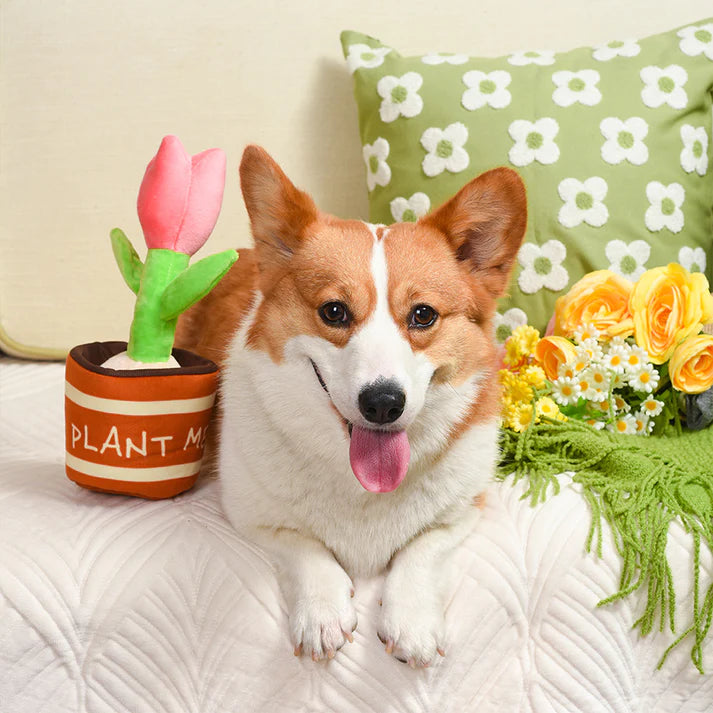 HugSmart - Puppy Garden - Tulip