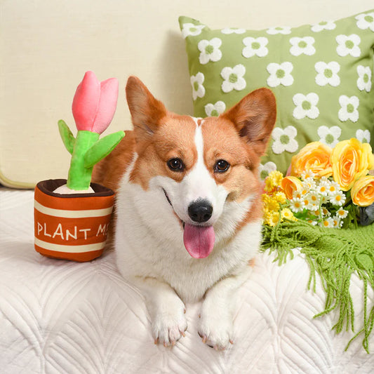 HugSmart - Puppy Garden - Tulip